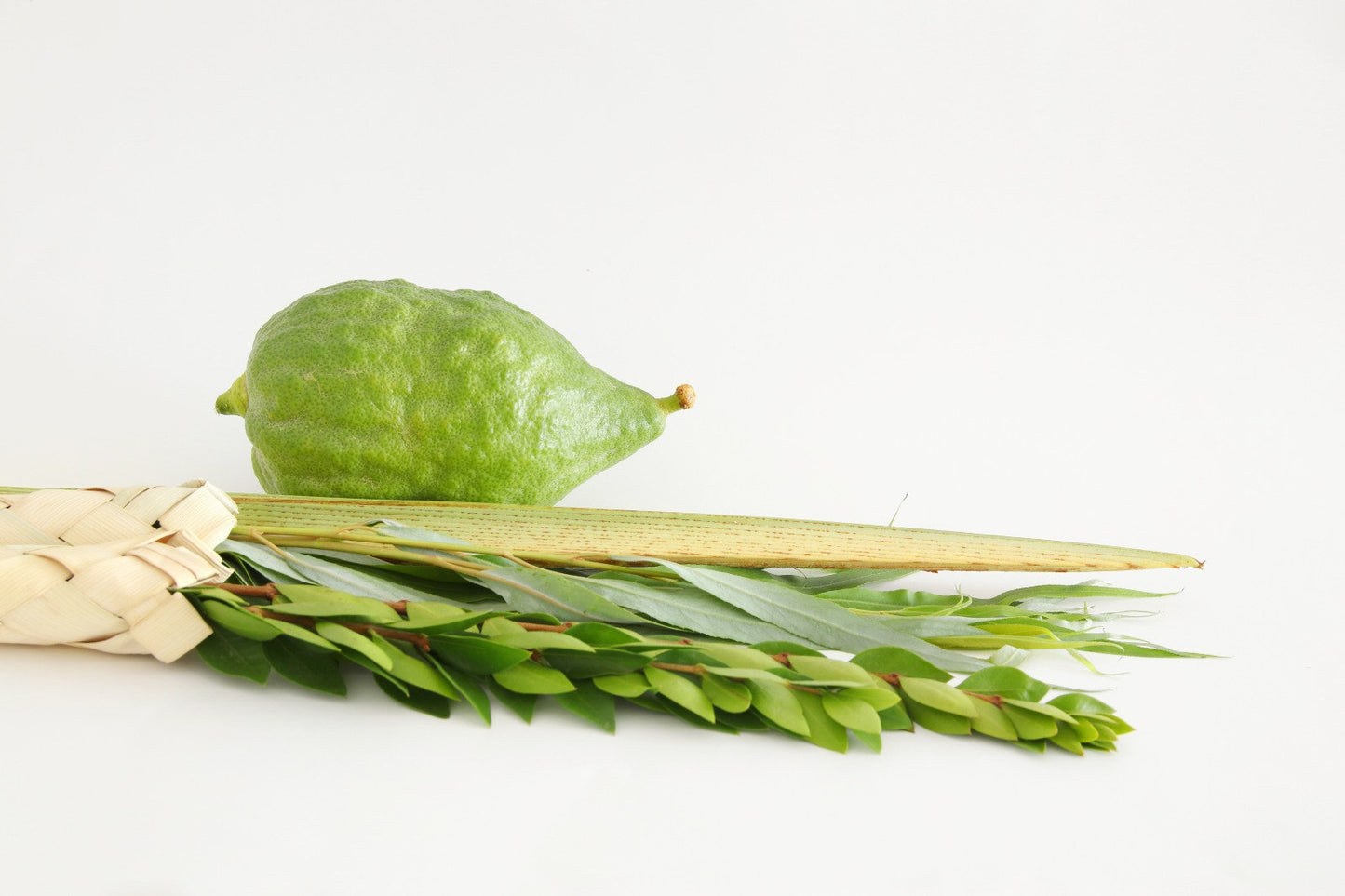 Esrog and lulav