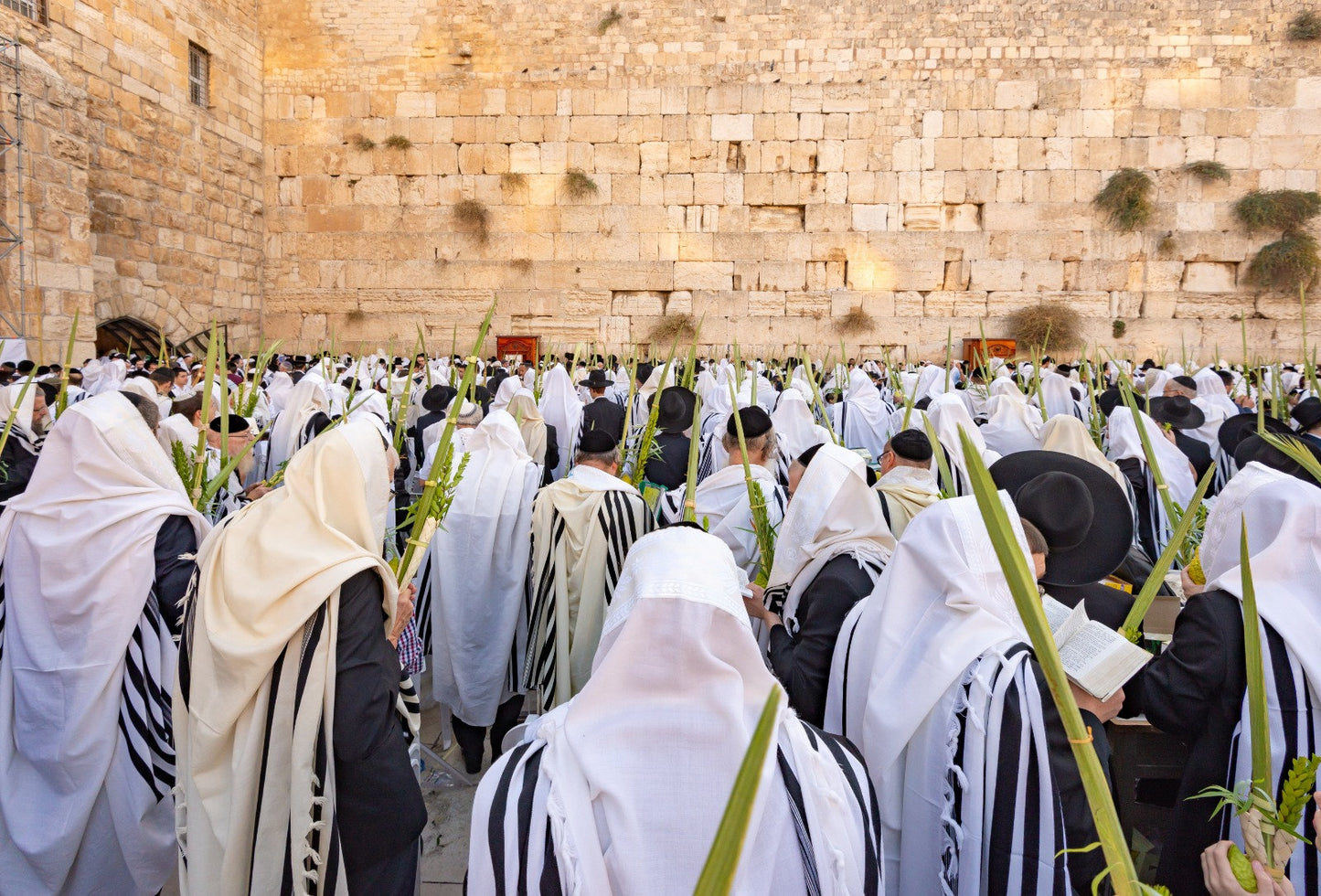 Sukkos davening at the kosel