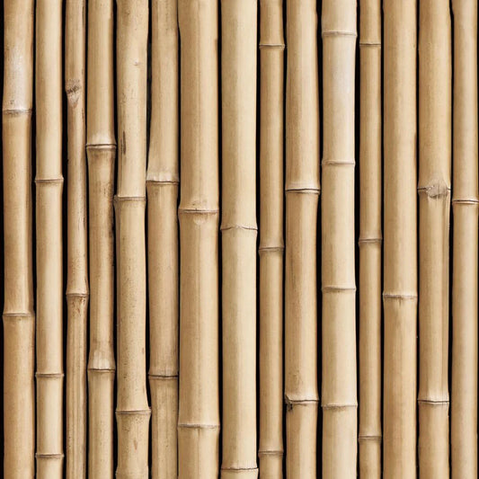 Bamboo sticks 8 1/2' FOOT 1" thick pack of 25 peices